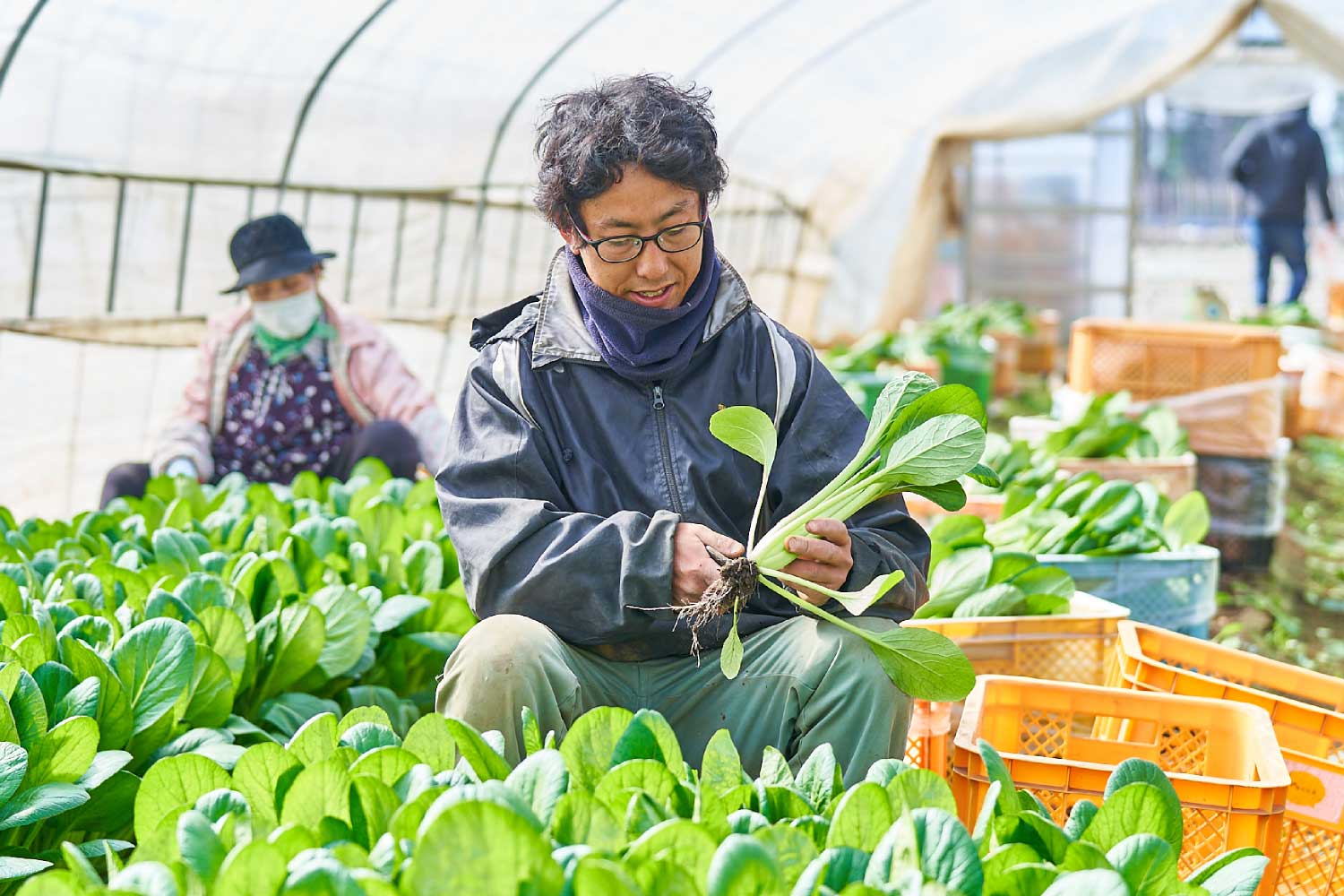 Yacca代表 勝俣 良