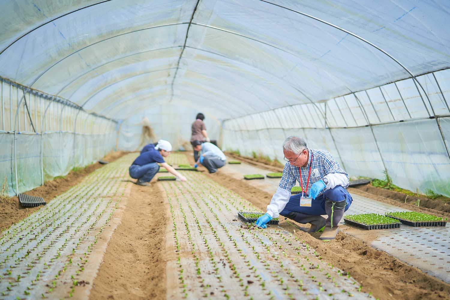 農福連携への取り組み